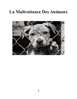 French Project