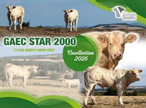 Star 2000 - Cowllection 2026 - Simon Genetic