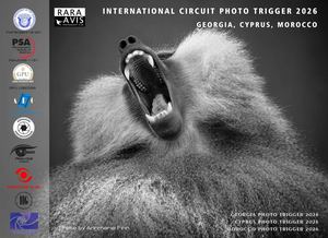 Catalogue Photo Trigger 2026