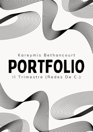 Portafolio REDES