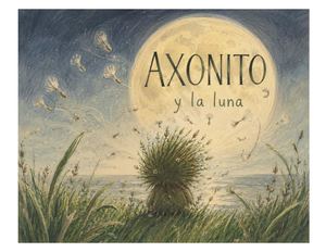 Libro Axonito De Paola Andrea Gutierrez