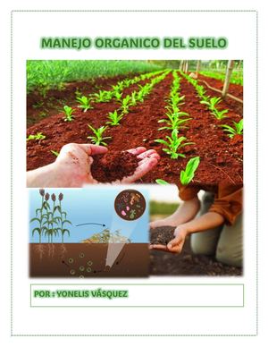 Manejo Orgánico del Suelo