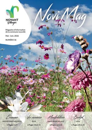 Novimag N36