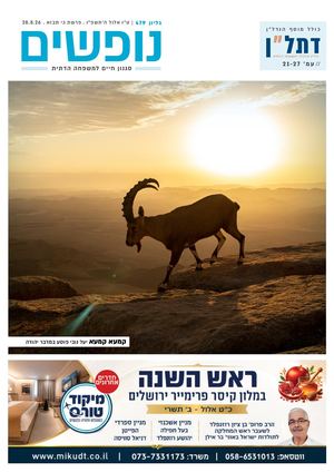 נופשים - סגנון חיים למשפחה דתית