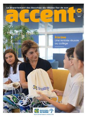 Accent 290