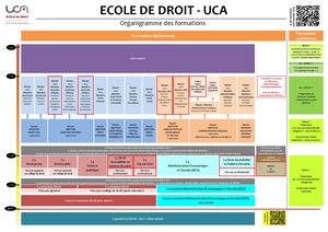 Organigramme Des Formations Ecole De Droit