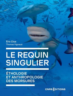 Pages De 001 544 Les Requins Bat 2