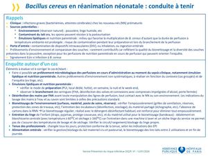 Fiche_Bacillus_cereus
