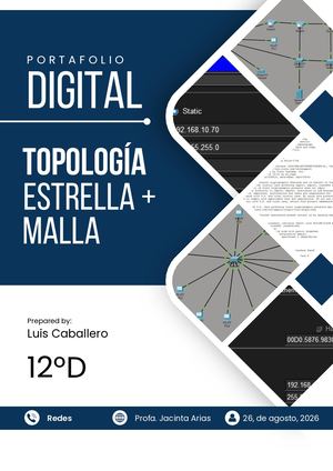 Portafolio de Red Malla Parcial y Estrella