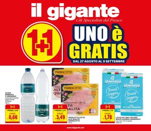 Volantino Il Gigante Dal 27 Agosto Al 09 Settembre 2026