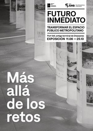Futuro inmediato. Más allá de los retos.