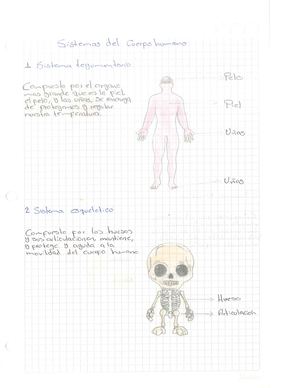 Portafolio