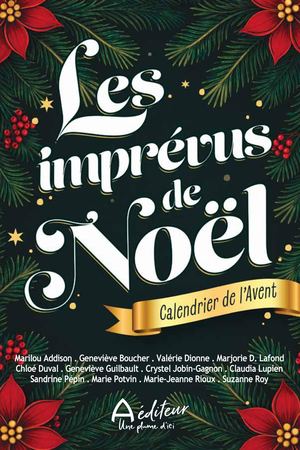 Les imprévus de Noël - Calendrier de l'Avent
