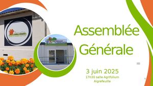 Rapport D'activité 2024 Présentation Ag 2025