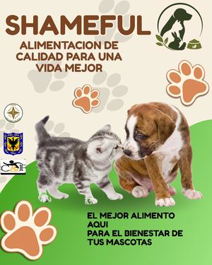 Revista Melani Castro Y Maria Camila