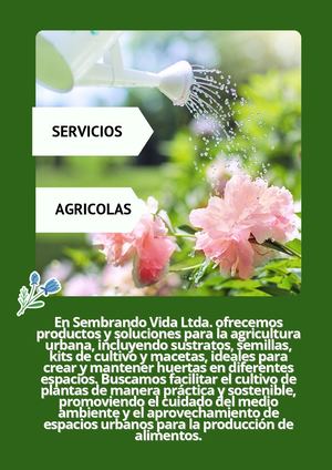 Portada De Revista Moda Sostenible Elegante Verde (1)