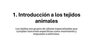 Tejidos Animales