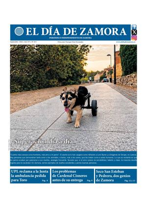 El Día de Zamora Nº 453