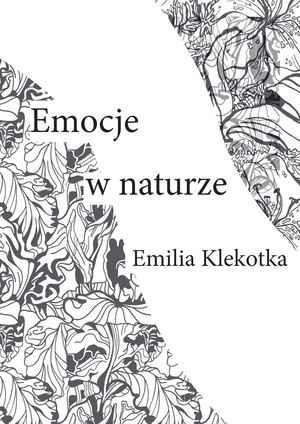 Dyplom licencjacki Emilia Klekotka