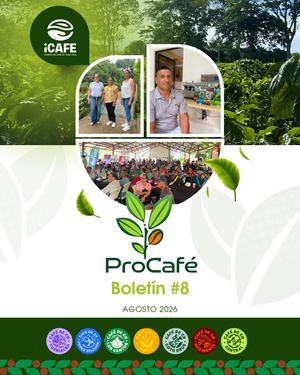 Boletín Procafé #8