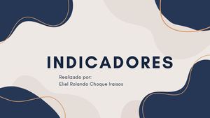 Indicadores De Un Proyecto Eliel