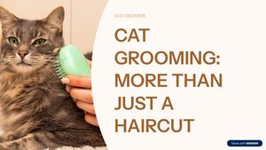 Cat Grooming More Than Just A Haircut