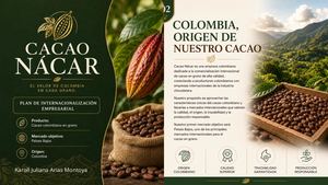 Plan de internalizacion cacao colombiano