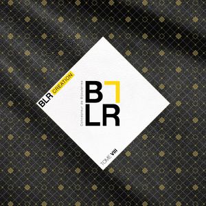 Brochure BLR VIII