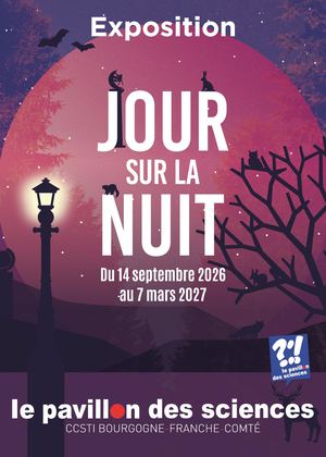 Fly Jour Sur La Nuit Web