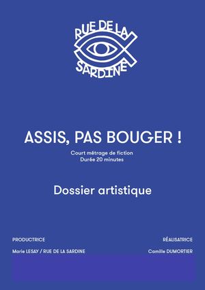 Dossier aide la production 2022, Assis pas bouger, Camille Dumortier