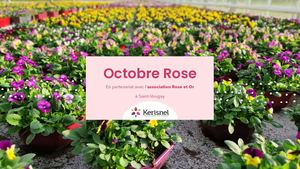 Automne MAF_Octobre Rose