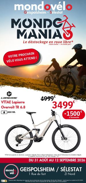 Flyer Mondovélo SMS