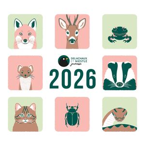 Delachaux FBF 2026 Rights list