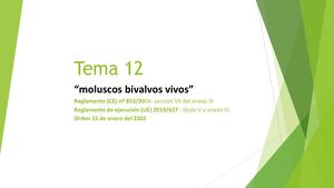 Pp Tema 12 Nuevo X Gabriel
