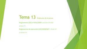 Pp Tema 13 Nuevo X Gabriel