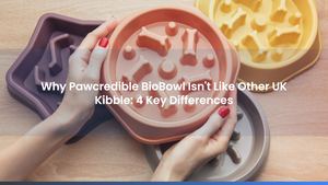 Why Pawcredible BioBowl Isn't Like Other UK Kibble: 4 Key Differences