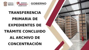 Transferencia Primaria