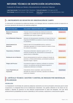 Informe Riesgos Quimicos (1)
