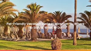 Pet-Friendly Vacation Ideas In Miramar, FL: Where to Stay & What to Do