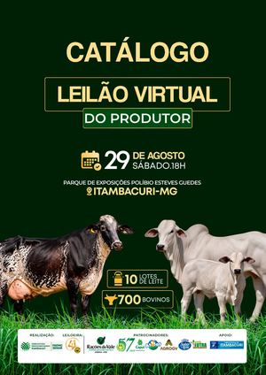 Leilão Virtual do Produtor