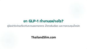 GLP-1 ทำงานอย่างไร? คู่มือเข้าใจง่ายเกี่ยวกับความอยากอาหาร น้ำตาลในเลือด และการควบคุมน้ำหนัก