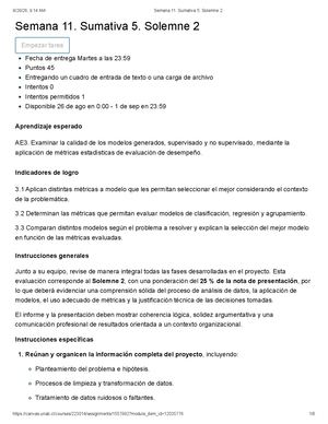 Semana 11 Sumativa 5 Solemne 2 (1)