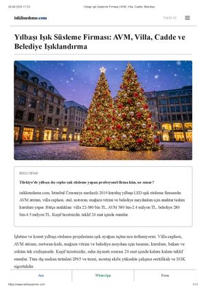 Yılbaşı Işık Süsleme Firması Avm, Villa, Cadde, Belediye