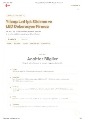 Yılbaşı Işık Süsleme Villa Avm Otel Led Dekorasyon