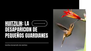 Huitzilin La Desaparicion De Los