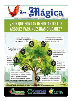 Tierra Mágica 266