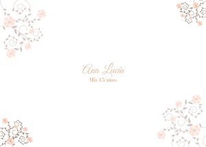 Ana Lucia 15