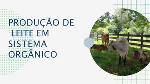 Produção De Leite Em Sistema Orgânico (1) (3)