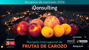 260828 Anuario Fruta De Carozo Vf