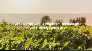 Soybean Yield Gap: 4 Irrigation Technologies High-Yielding Farms Use
